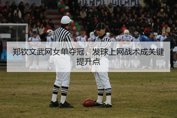 zheng-qin-wen-wu-wang-nv-dan-duo-guan-fa-qiu-shang-wang-zhan-shu-cheng-guan-jian-ti-sheng-dian-2-436.jpg